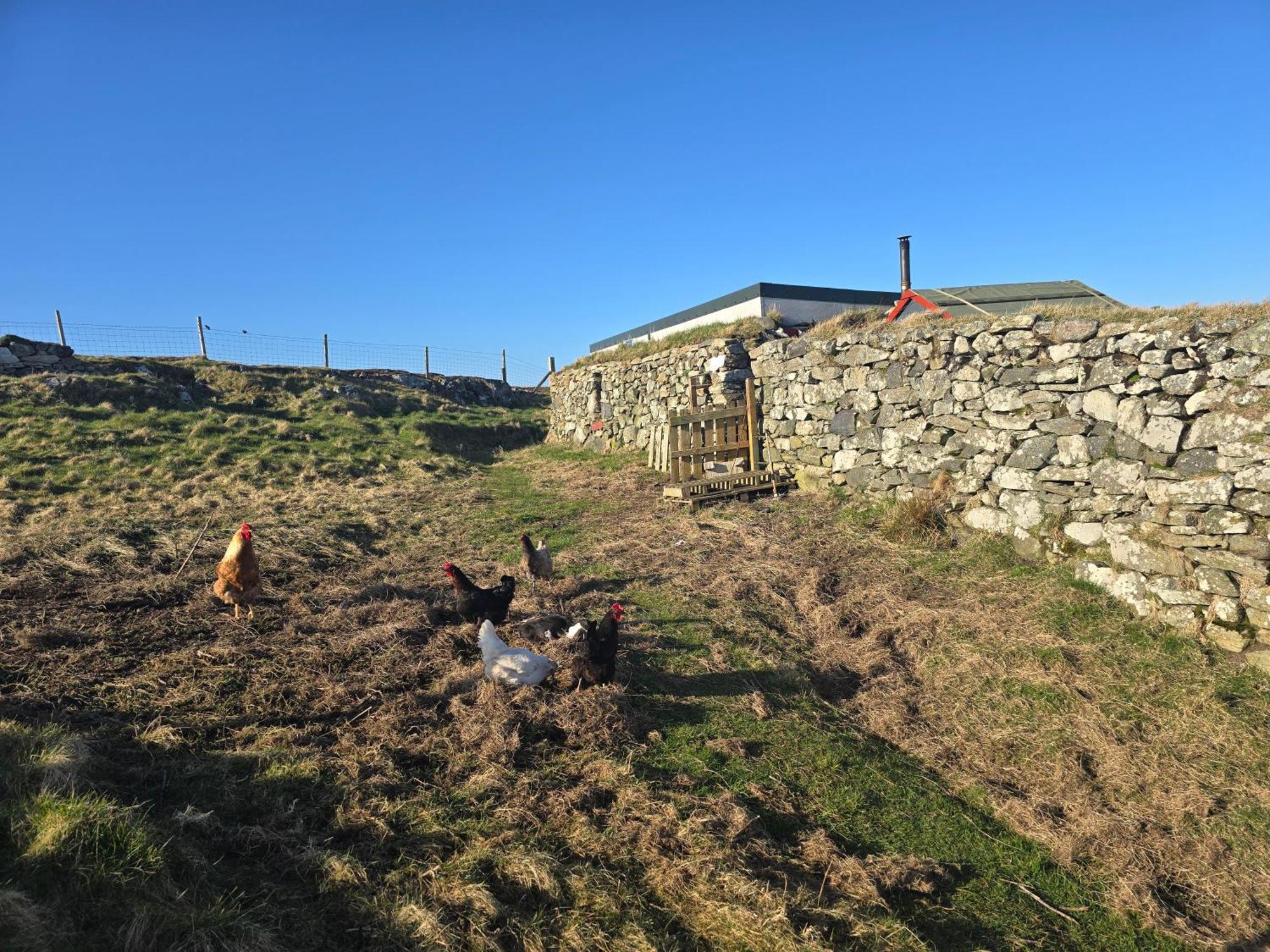 Вилла Squealing Pig Bothy Barvas Экстерьер фото