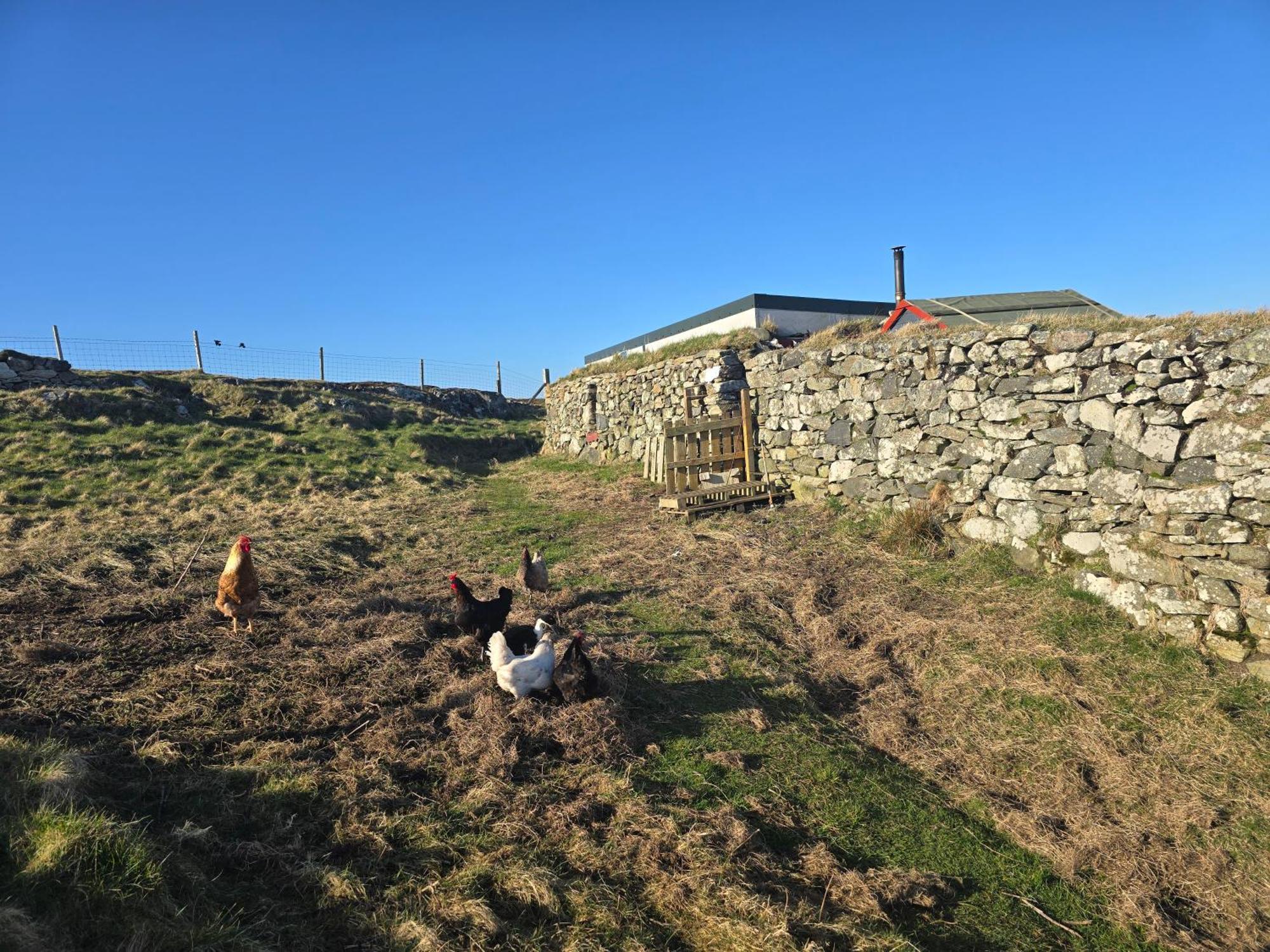 Вилла Squealing Pig Bothy Barvas Экстерьер фото